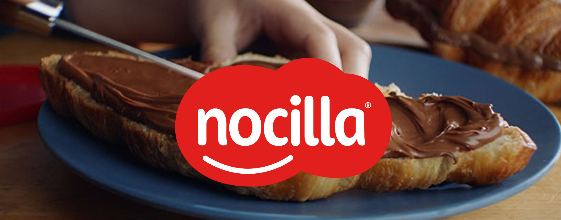 Nocilla